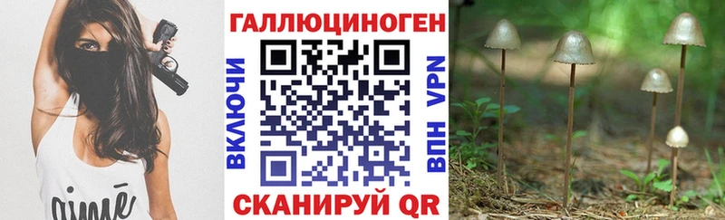 Галлюциногенные грибы мицелий Кызыл