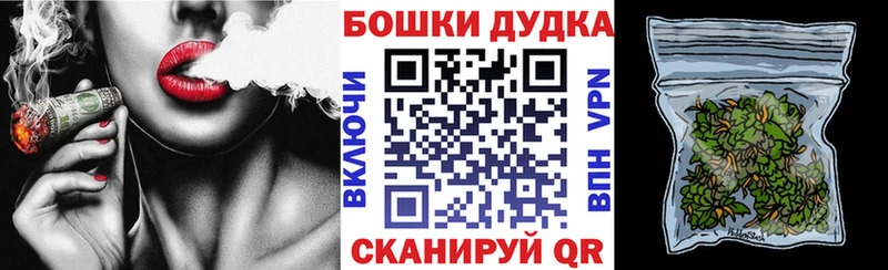 Бошки Шишки планчик  Кызыл 